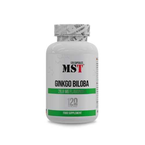 Купить MST® Ginkgo Biloba 120 caps в Николаеве