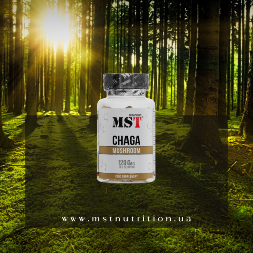 MST Chaga Mushroom supplement bottle in a sunlit forest — a natural source of antioxidants